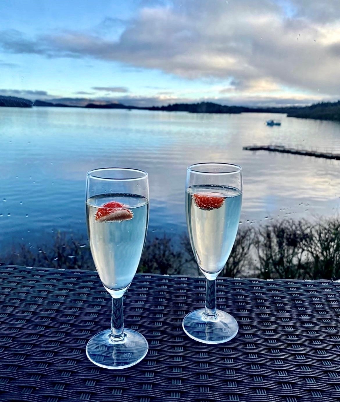 Fizz & Nibbles