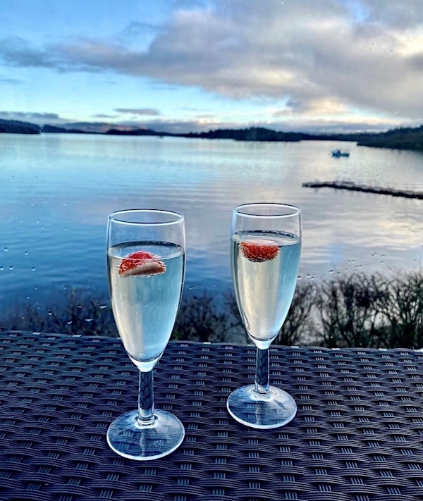 Fizz & Nibbles