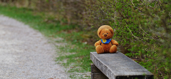 Teddy Bear Hunt | Age 2+ (Owners and Overnight Guests Only)
