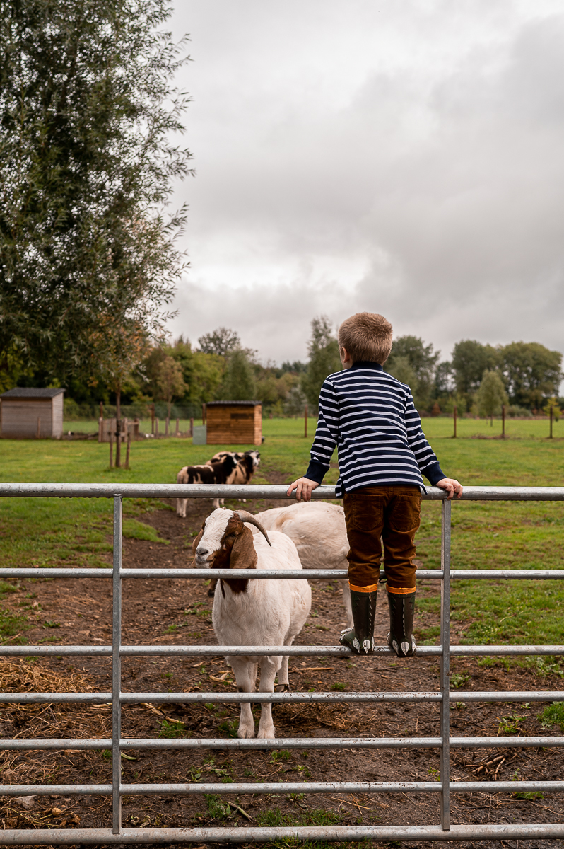 Mini Farm Visit