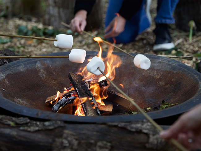 Spooky Stories and S'mores | Age 7+