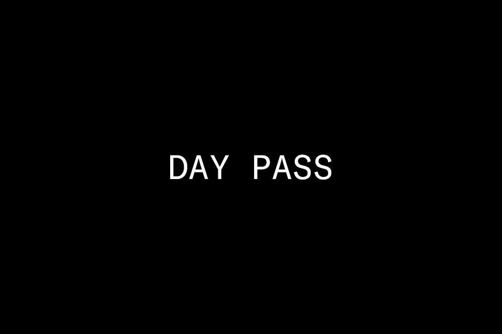 Day Pass, Friday 11am-close