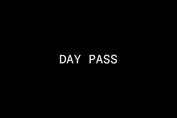 Day Pass, Friday 11am-close