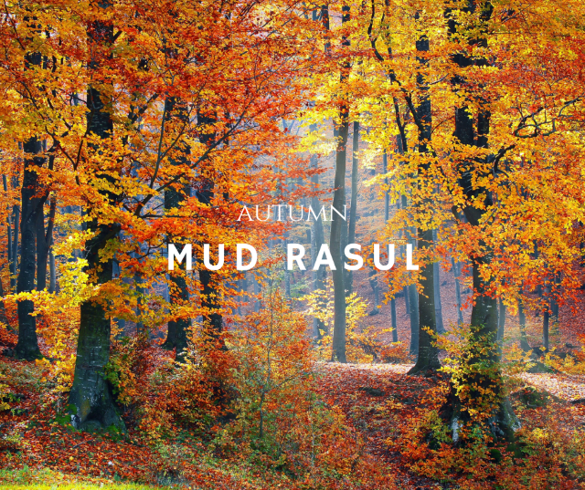 Autumn Mud Rasul