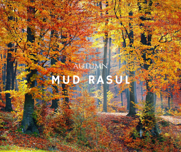 Autumn Mud Rasul