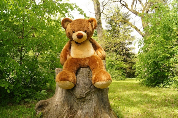 Teddy Bear Hunt and Arts and Crafts