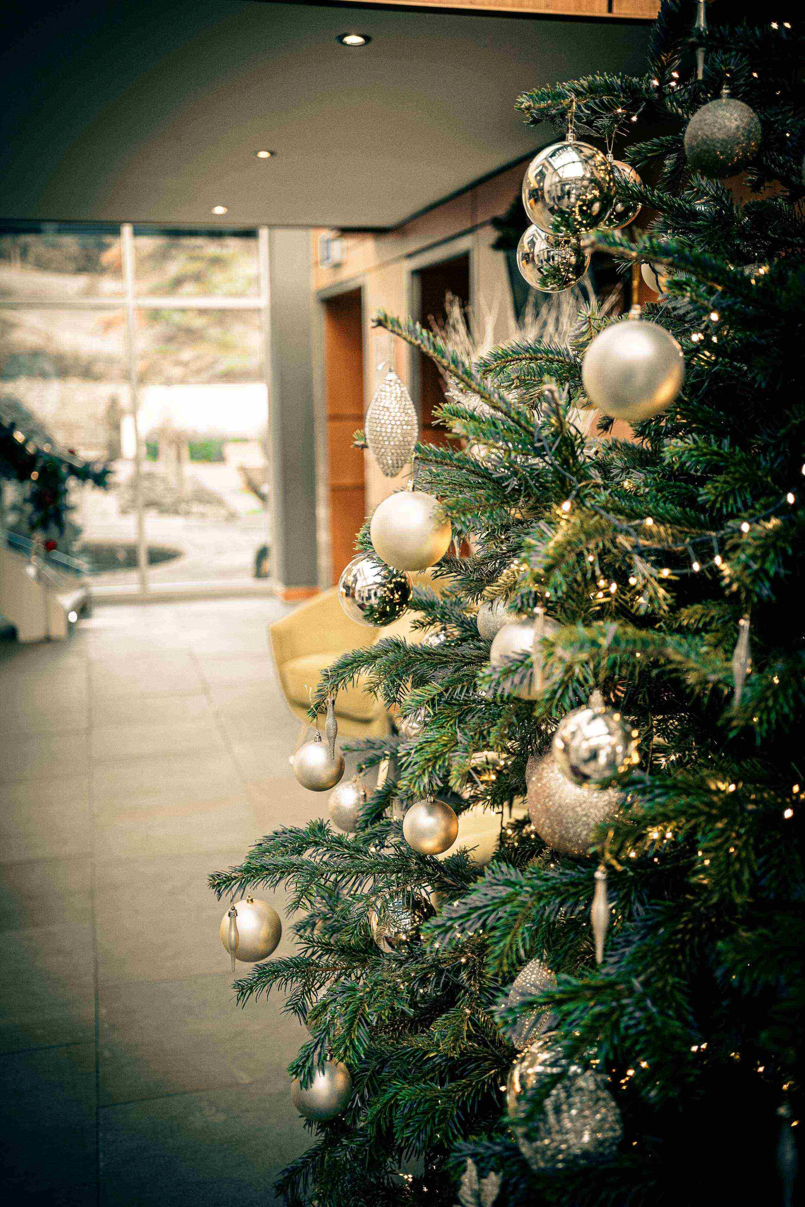 Festive Afternoon Tea and Spa Access