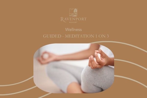 Guided  Meditation - 1 on 3