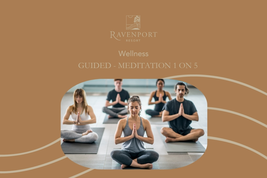 Guided  Meditation - 1 on 5