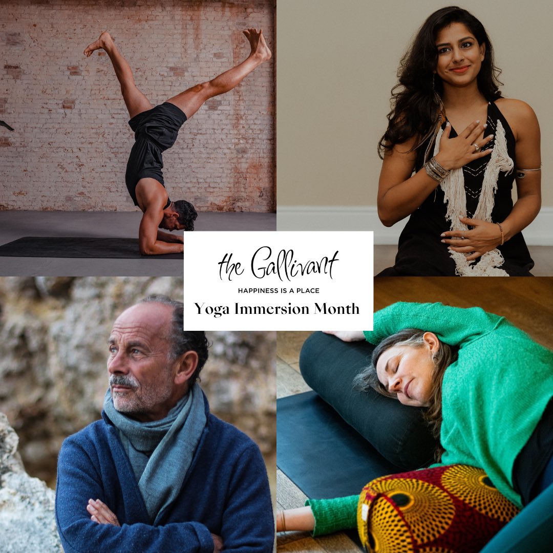 Yoga Immersion Month - All Workshops