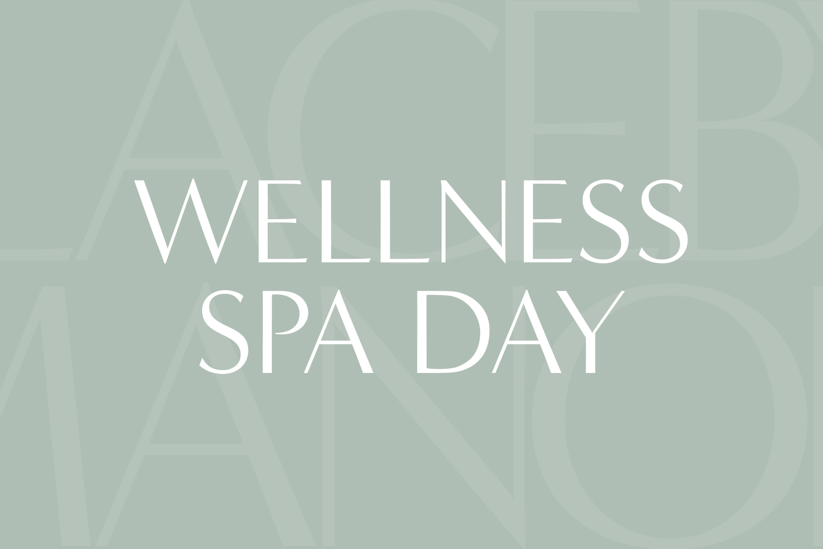 Wellness Spa Day