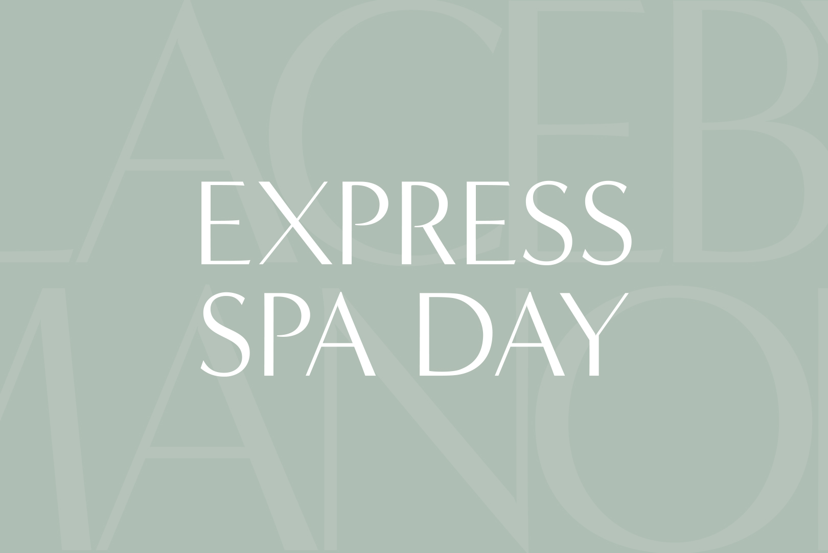 Express Spa Day