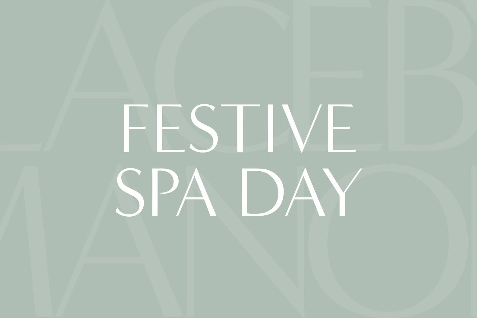 Festive Spa Day