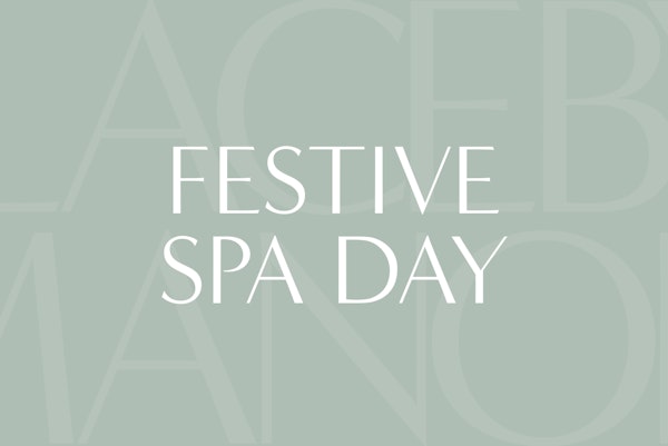 Festive Spa Day