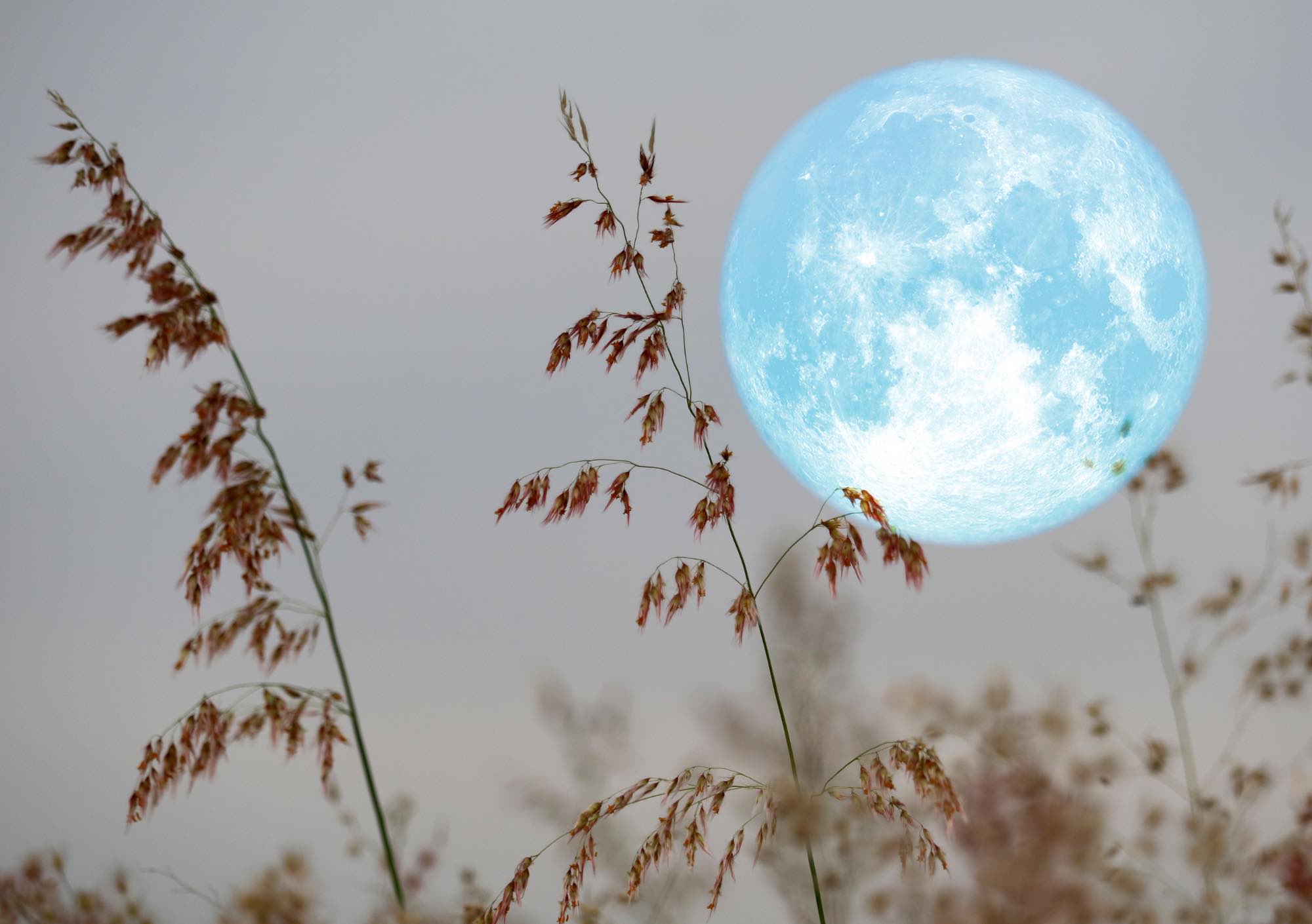 Beaver's Supermoon Yoga - Fri 15th Nov