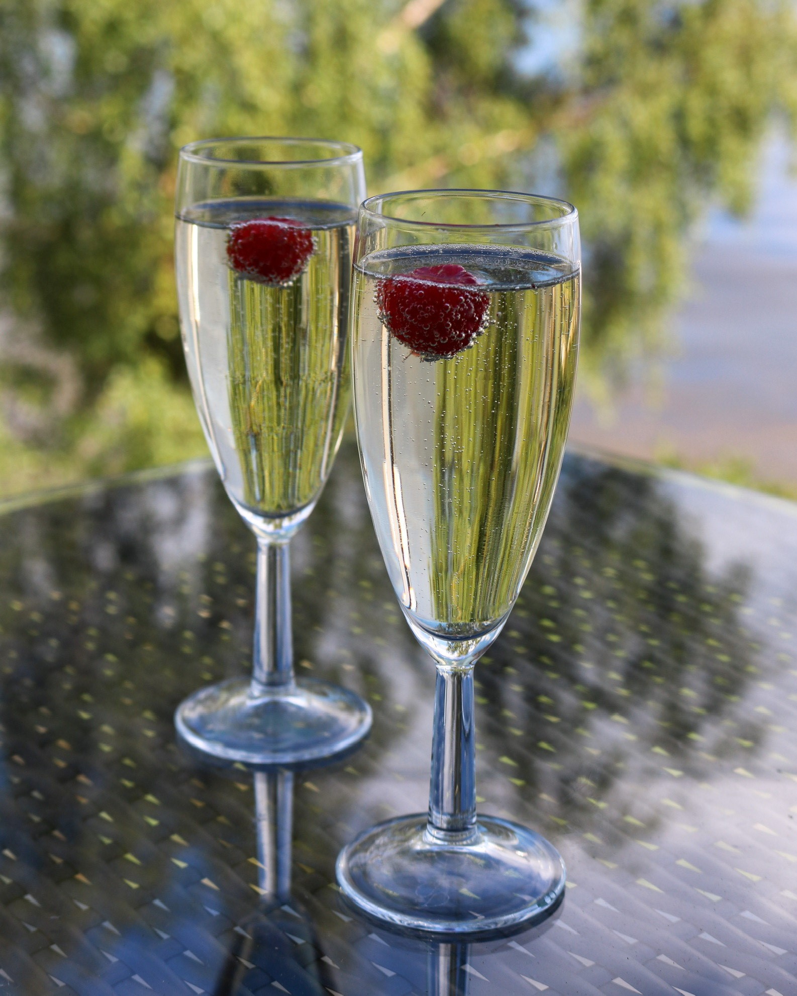 Glass of Fizz and Nibbles