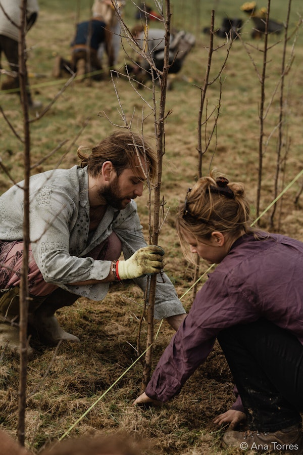 Permaculture Volunteer Day