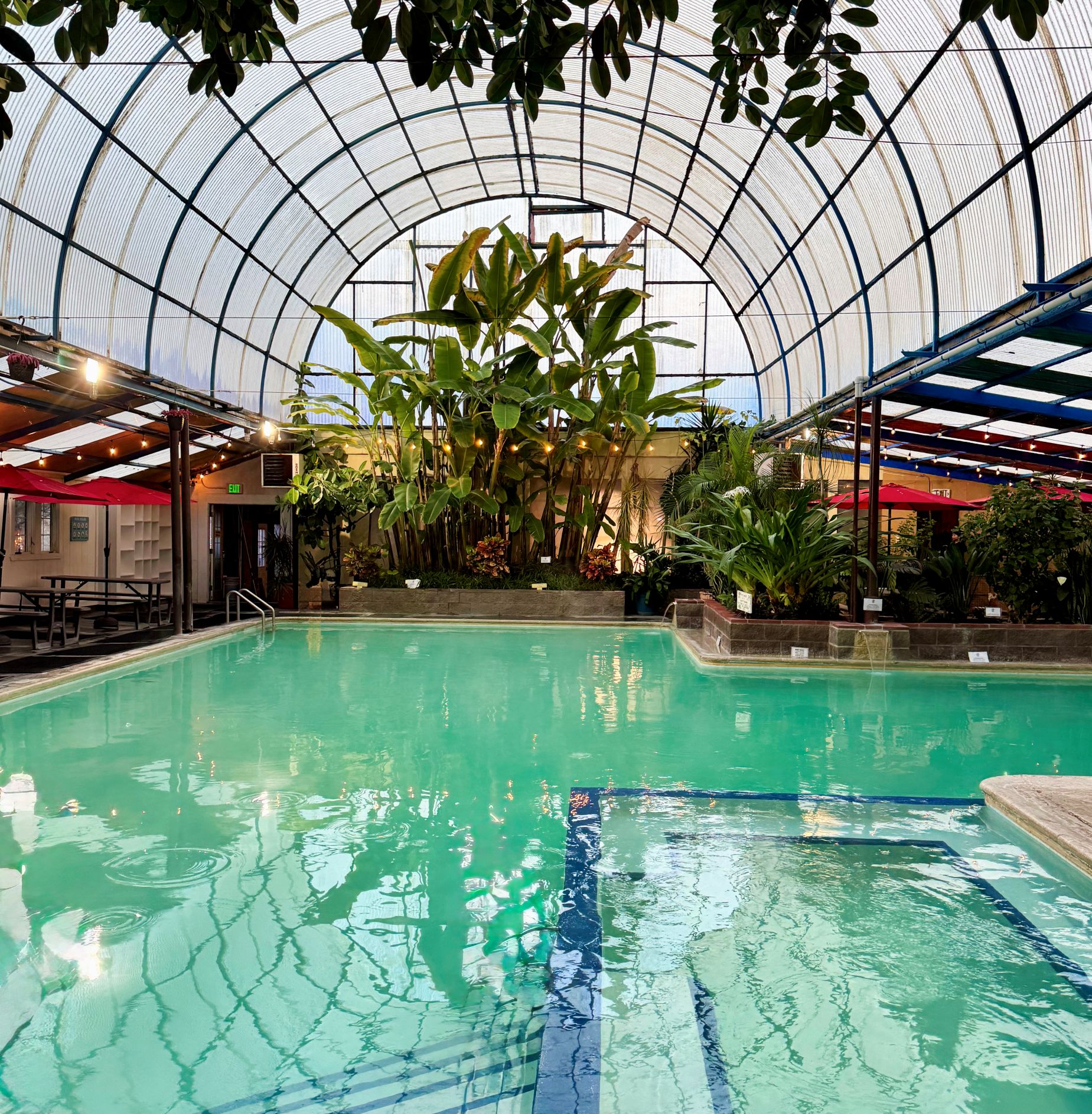 Natural Mineral Pool | Afternoon Time Slot | 3:00 - 6:30 PM