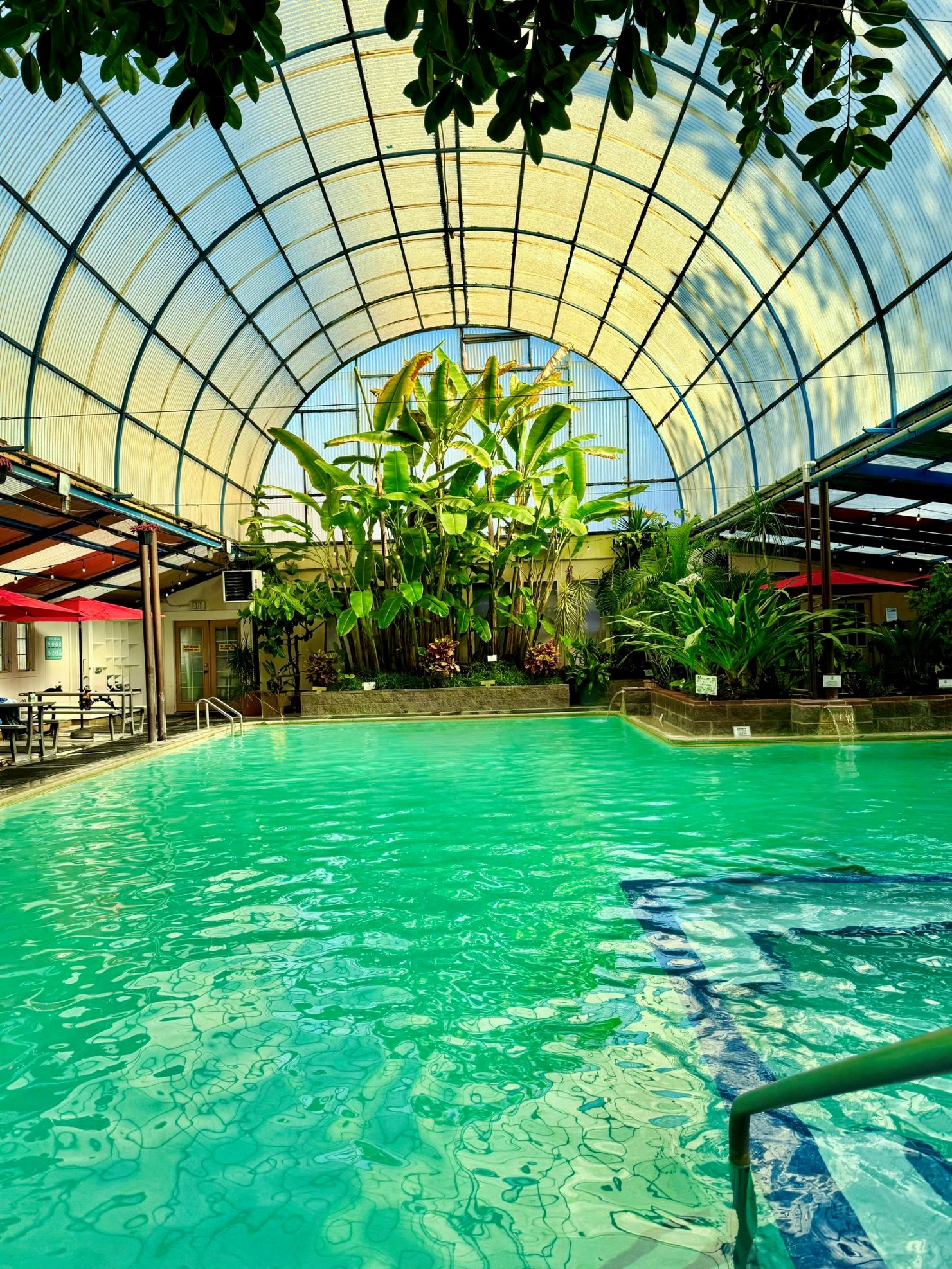 Natural Mineral Pool | Morning Time Slot | 7:30 - 10:00 AM