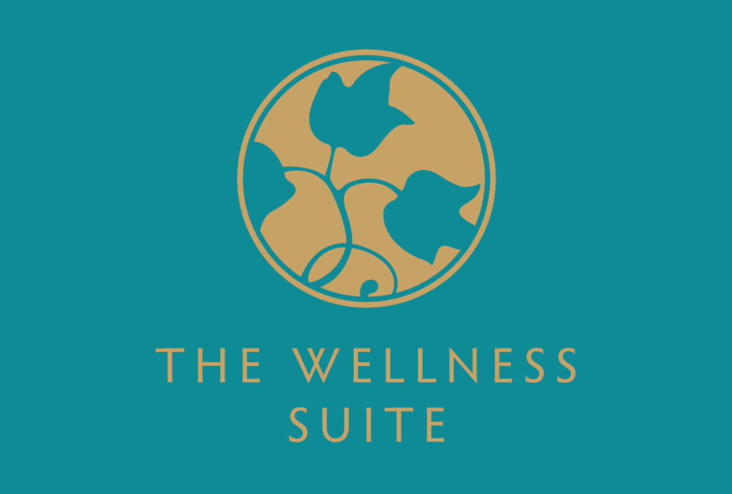 The New Wellness Suite Tour