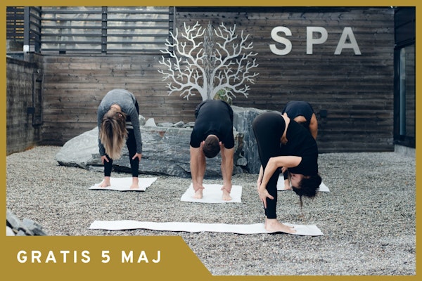 Wake Up Yoga