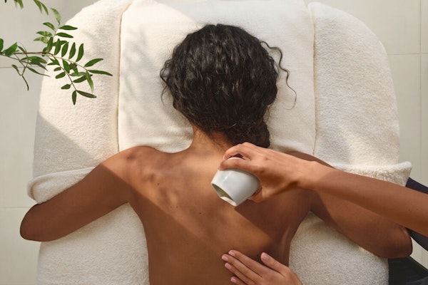 Wildsmith The Recovery Treatment