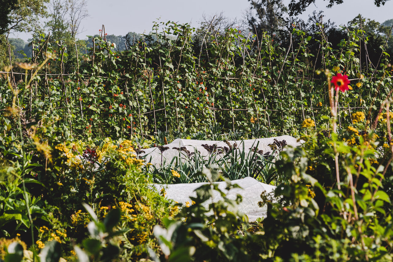 Principles of Permaculture [Private Session]