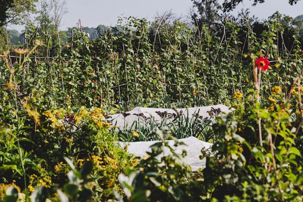 Principles of Permaculture [Join a Group]