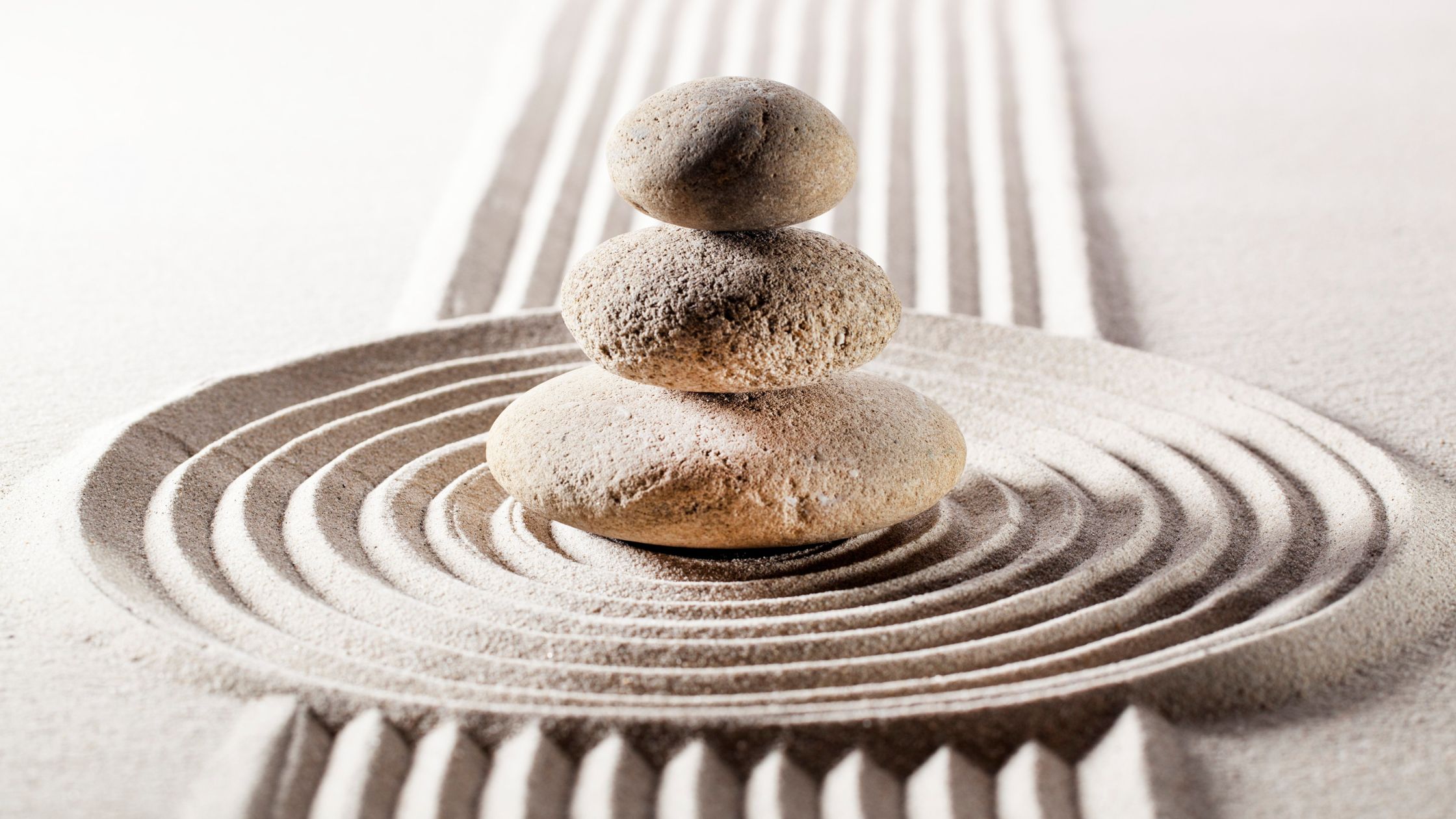 The Calm & Resilient Reset Programme