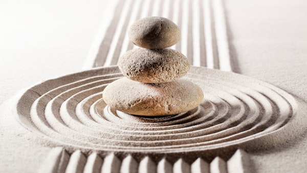 The Calm & Resilient Reset Programme