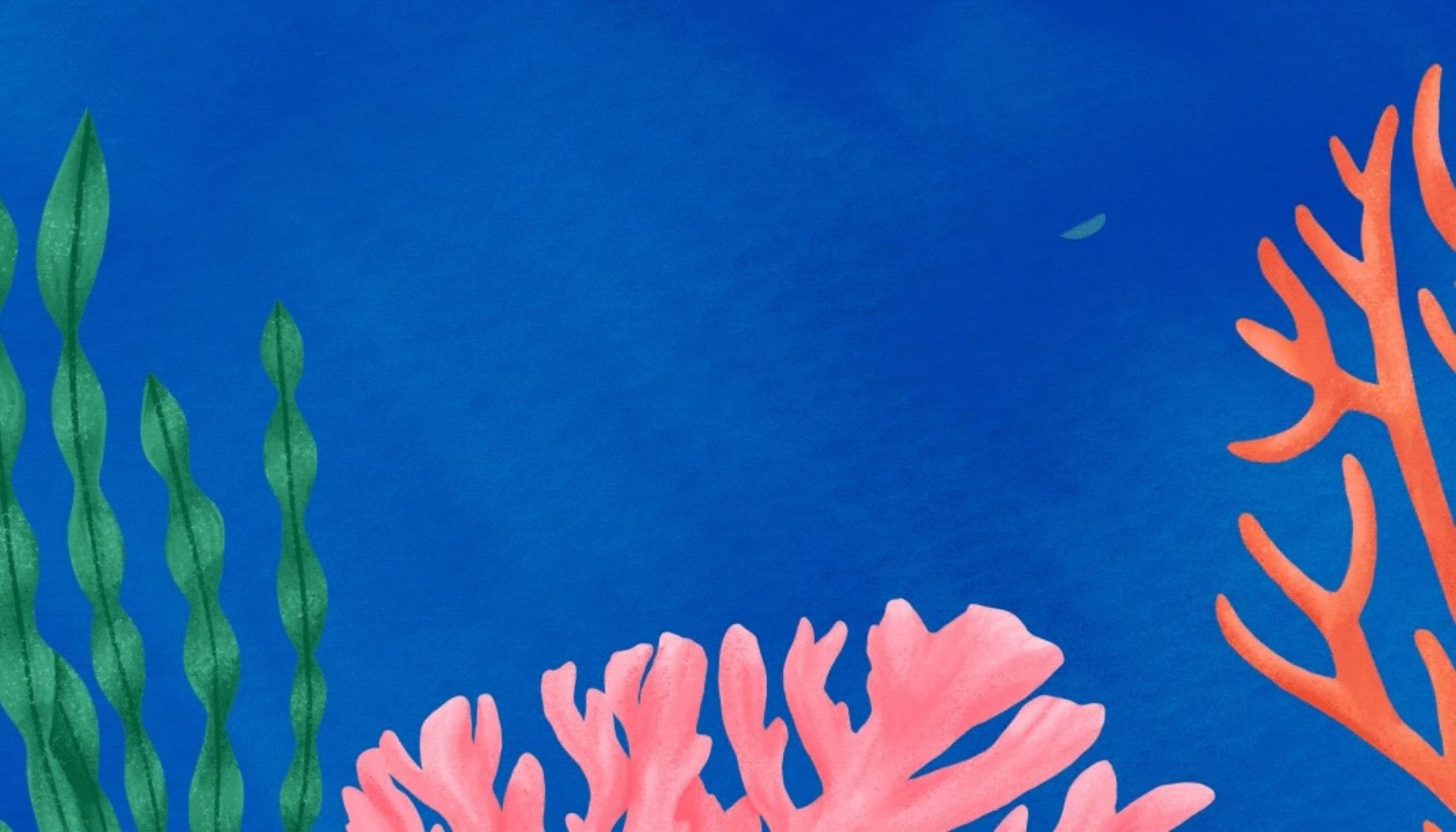 Quiet Session - Under The Sea - Immersive Experience