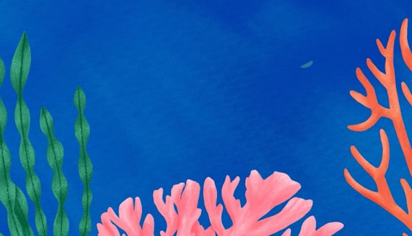 Quiet Session - Under The Sea - Immersive Experience
