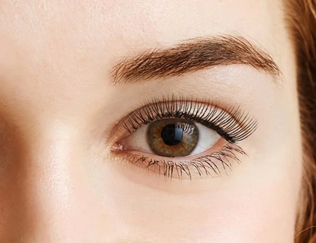 Eyelash & Brow Tint