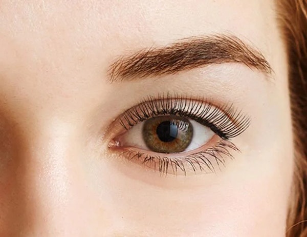 Eyelash & Brow Tint