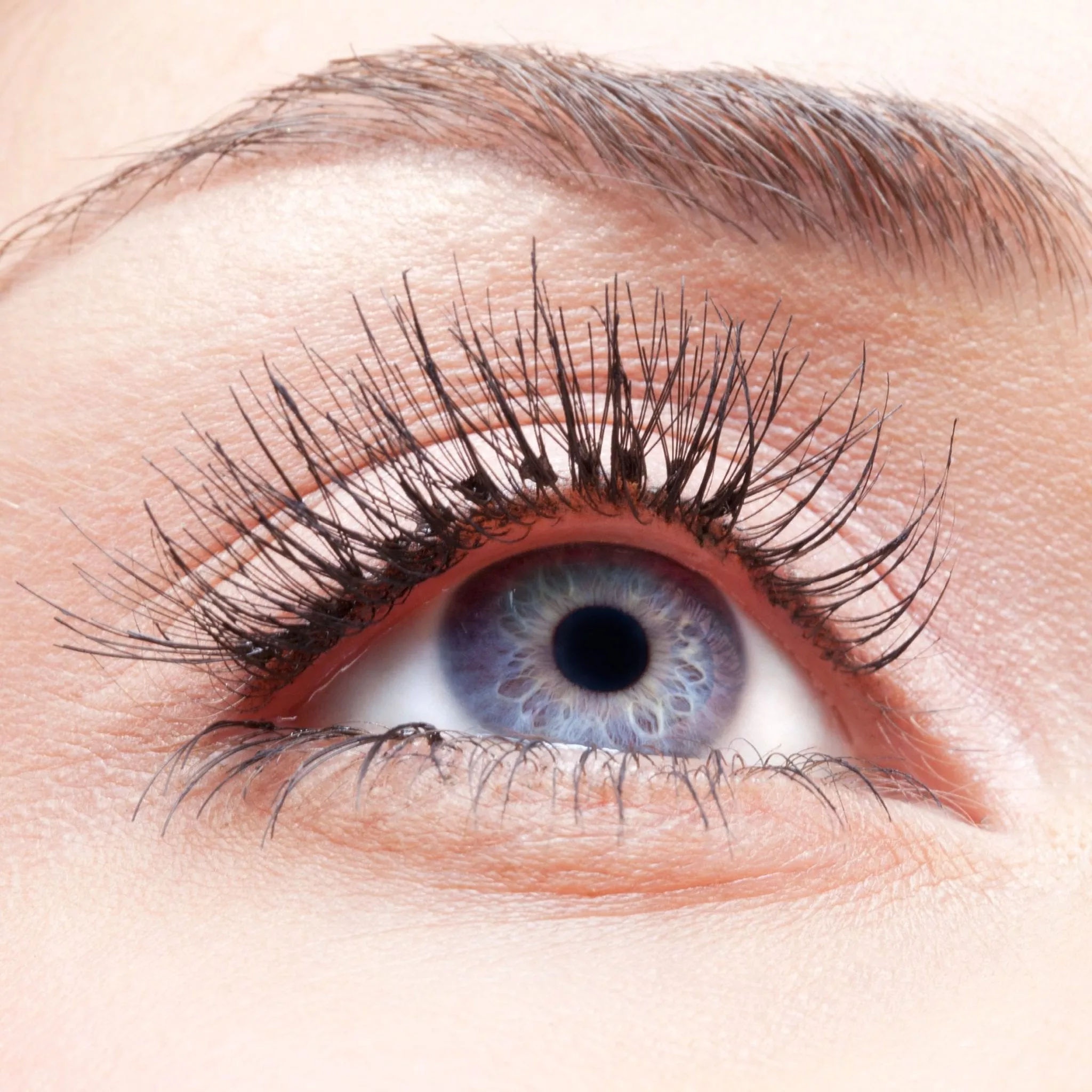 Eyelash tint