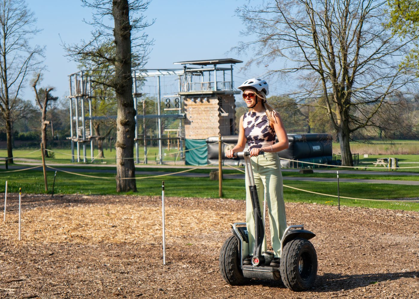 Adult Segway