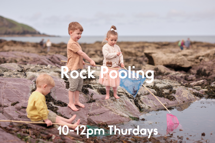 Rock Pooling / Sandcastle Making