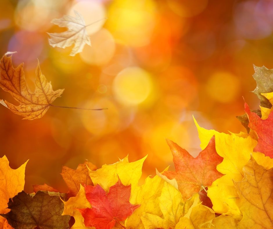 Autumn Essence